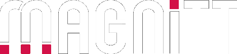 magnitt